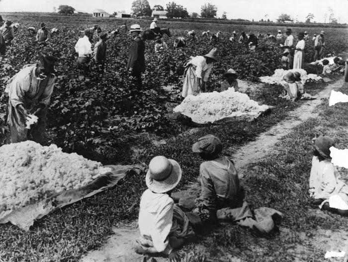 Why Don't Plantations have Fences? (Harriet Tubman and Frederick Douglas)